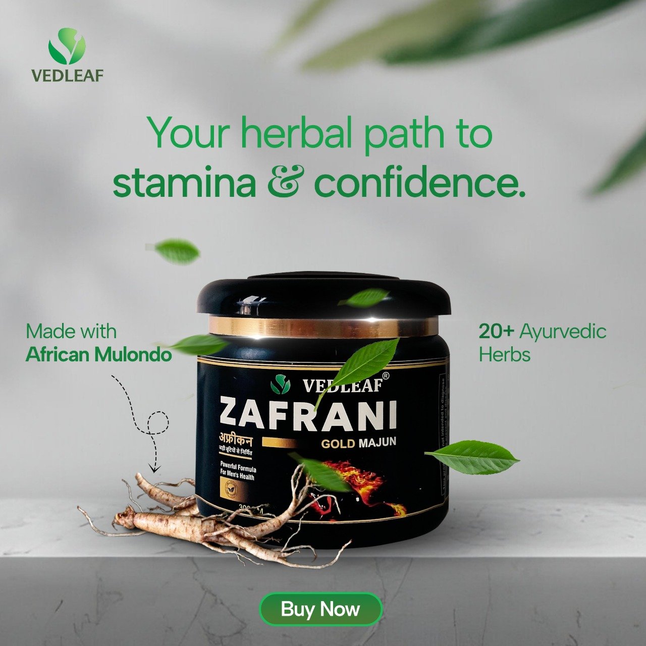 WhatsApp Image 2025-05-29 at 11.39.46 PM